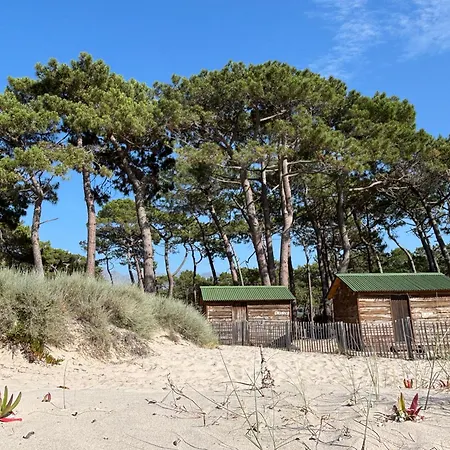Sejour De Charme A Vue Et Montagne En T3 Residentiel Avec Piscine Lejlighed