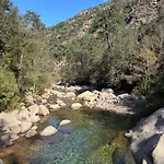 Corse, T3 Lumineux Avec Piscine, Entre Et Montagne Apartment *