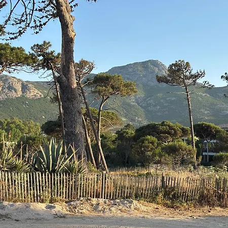 Sejour De Charme A Vue Et Montagne En T3 Residentiel Avec Piscine Calvi (Corsica)