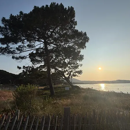Sejour De Charme A Vue Et Montagne En T3 Residentiel Avec Piscine * קאלבי