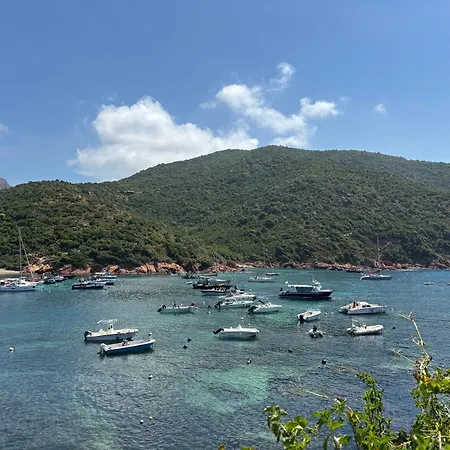 דירה Sejour De Charme A Vue Et Montagne En T3 Residentiel Avec Piscine קאלבי