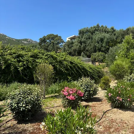 דירה Sejour De Charme A Vue Et Montagne En T3 Residentiel Avec Piscine