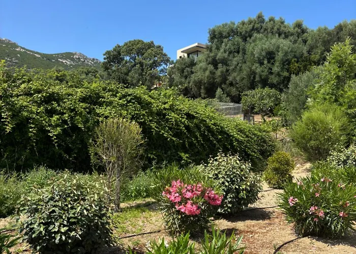 Appartamento SEJOUR EN CORSE CALVI vue mer et montagne en T3 résidentiel avec piscine